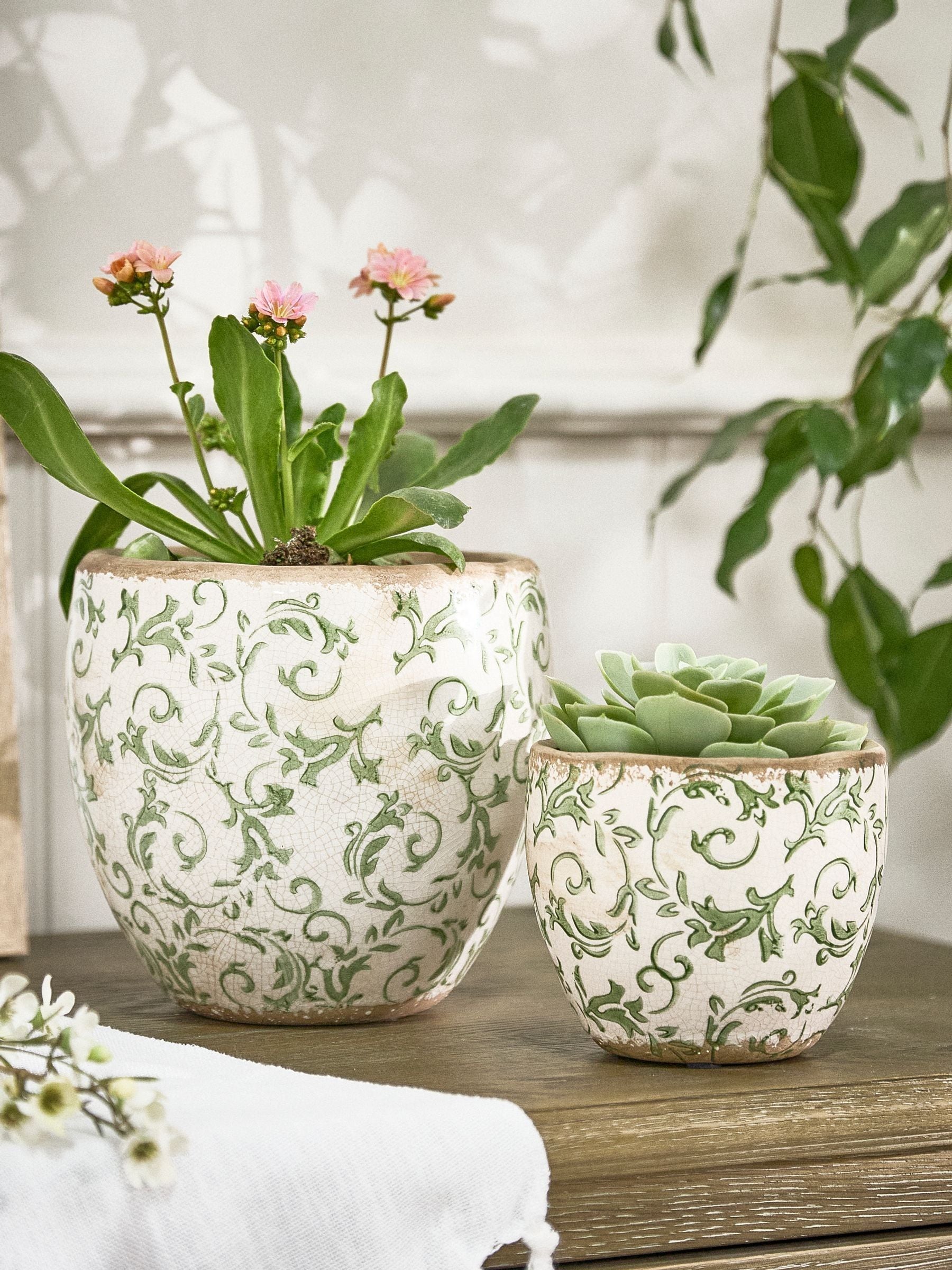 Dibor green botanical ceramic plant pot - British product