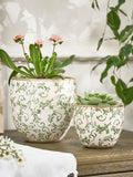 Dibor green botanical ceramic plant pot - British product