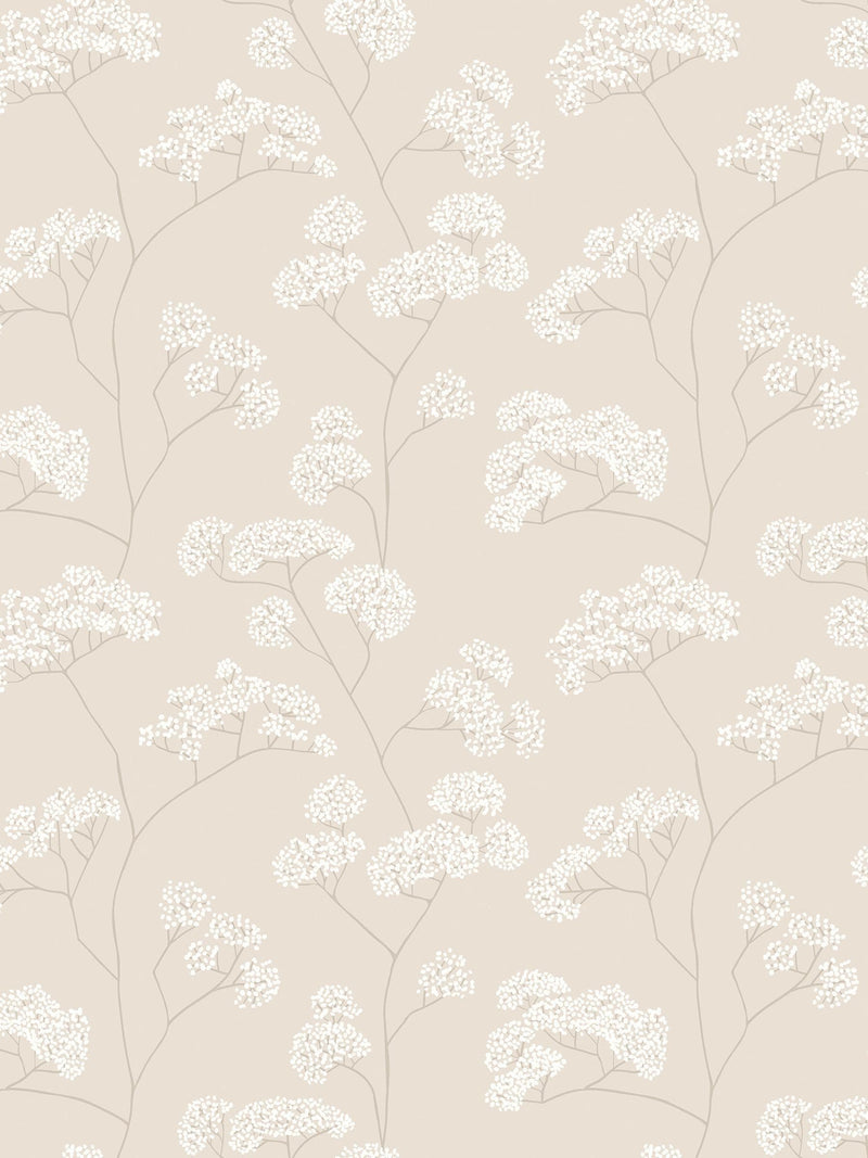 Hoopla Walls Shadow Elderflower Trail 10M Wallpaper