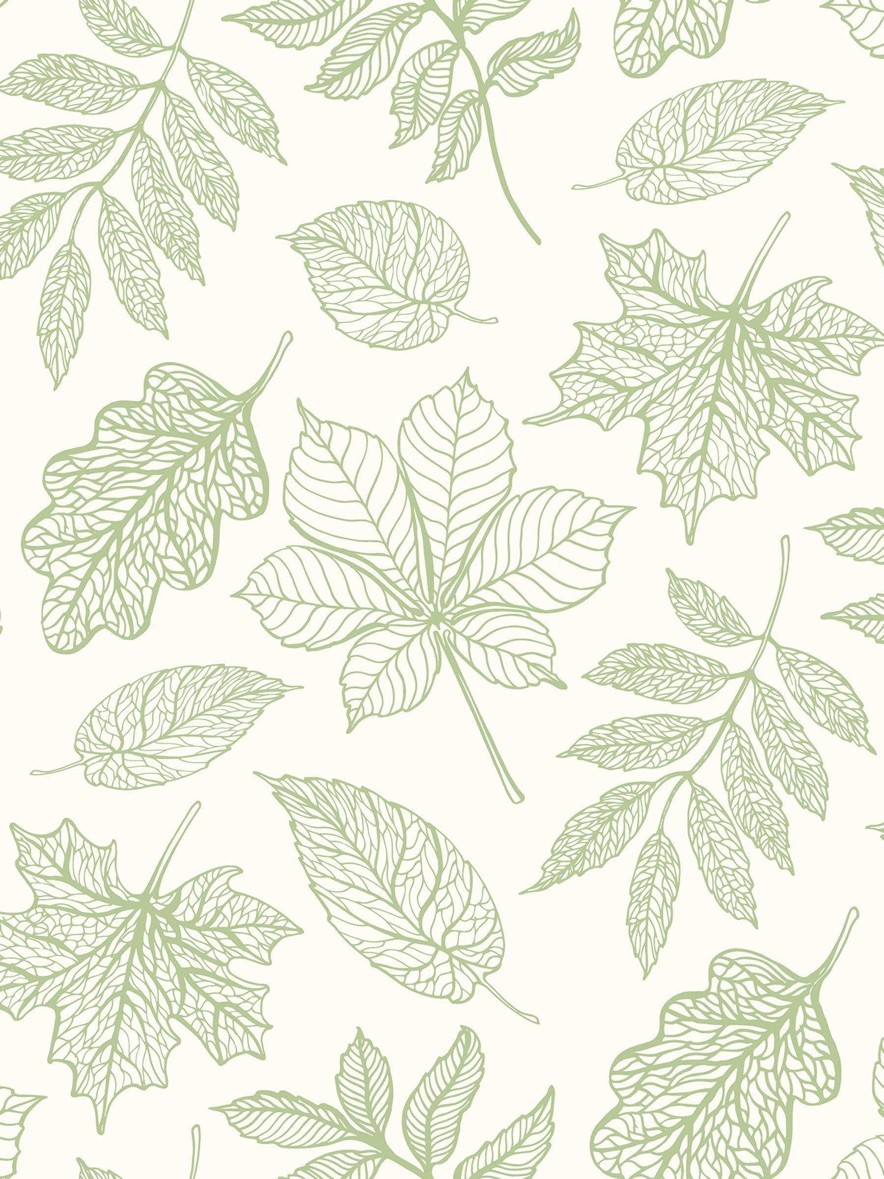 Hoopla Walls Dusty Sage Leaf Silhouette Wallpaper Sample (A4)