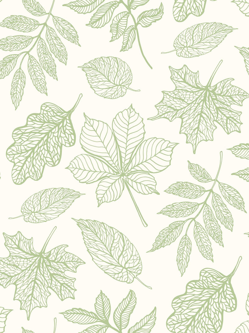 Hoopla Walls Dusty Sage Leaf Silhouette Wallpaper Sample (A4)
