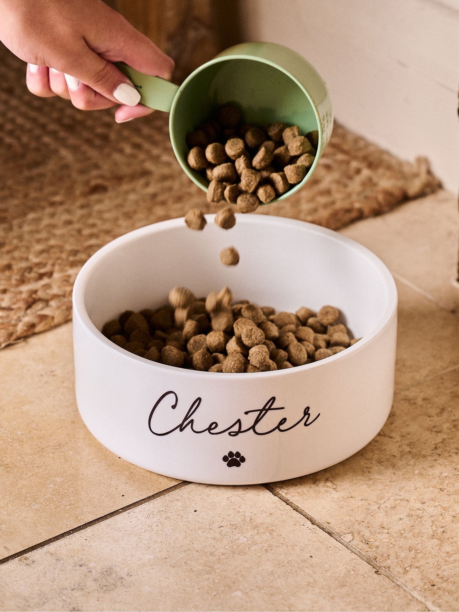 No Ordinary Gift paw print pet bowl 15cm - British product