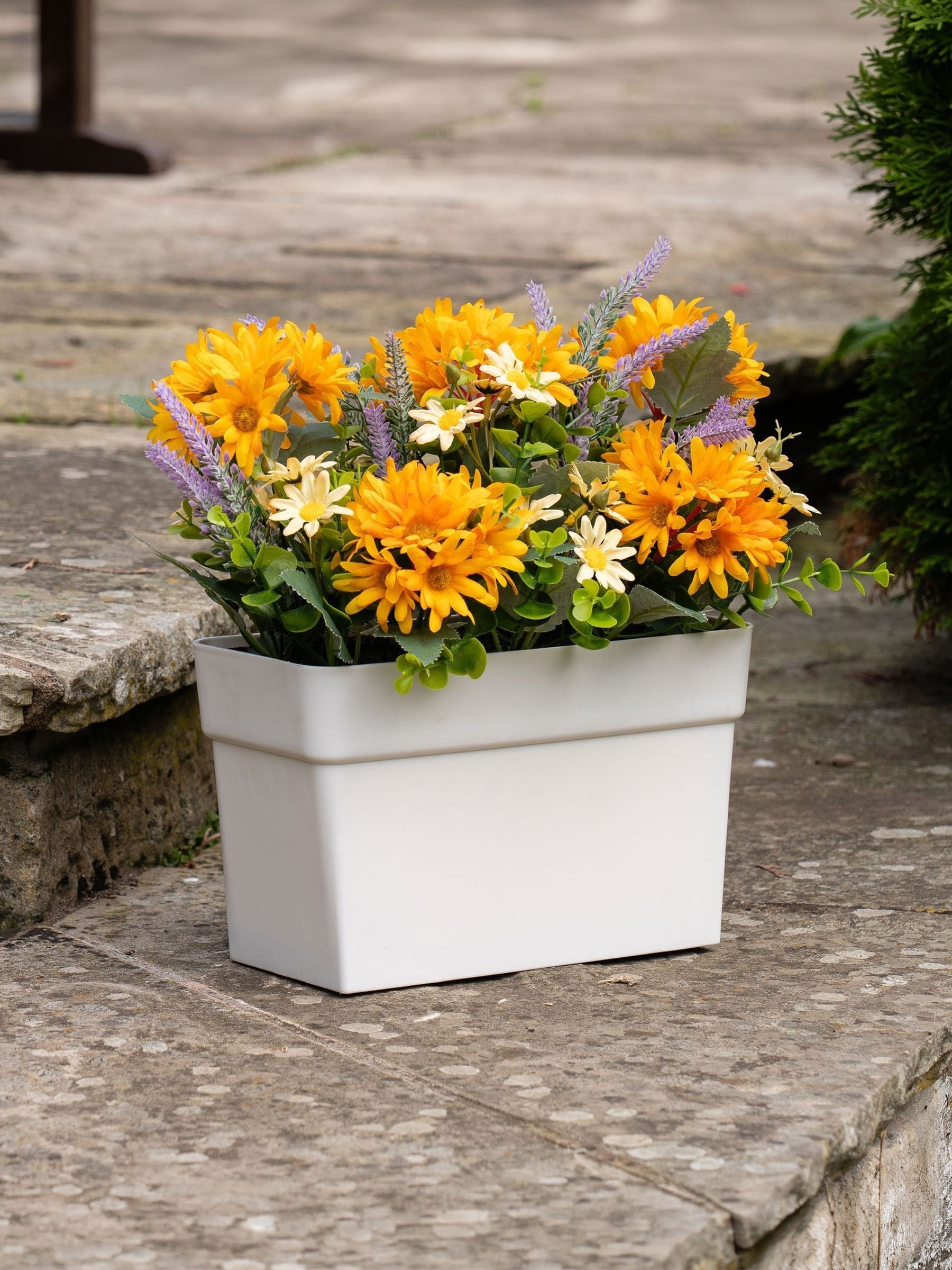 Scottish Everlastings orange yellow artificial daisy arrangement 24cm, UK version