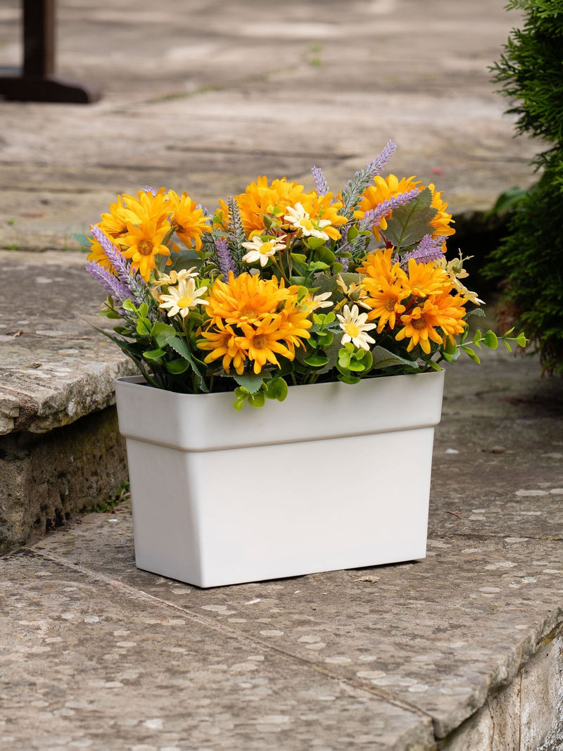 Scottish Everlastings orange yellow artificial daisy arrangement 24cm, UK version