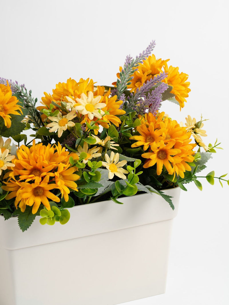 Scottish Everlastings orange yellow artificial daisy arrangement 24cm, UK version