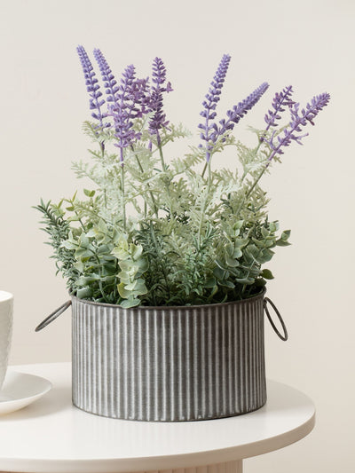 Next Scottish Everlastings Ltd Artificial Lavender Plant in Iron Pot 37.5cm- Buy online at McGrocer