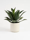 Scottish Everlastings Ltd oversized green artificial agave 57cm - British product