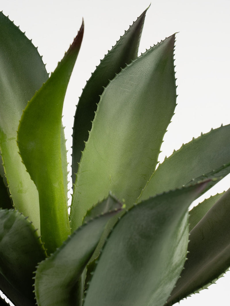 Scottish Everlastings Ltd oversized green artificial agave 57cm - British product