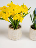 Scottish Everlastings set of 3 artificial spring pots 21cm (British brand)