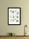 East End Prints Black All the Herbs Wall Art Print by Natalie Cass