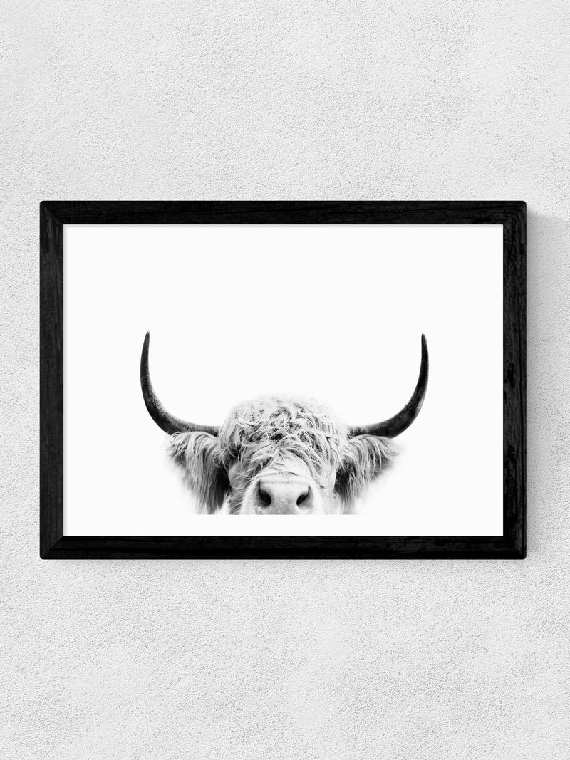East End Prints black peeking cow wall art print - British product