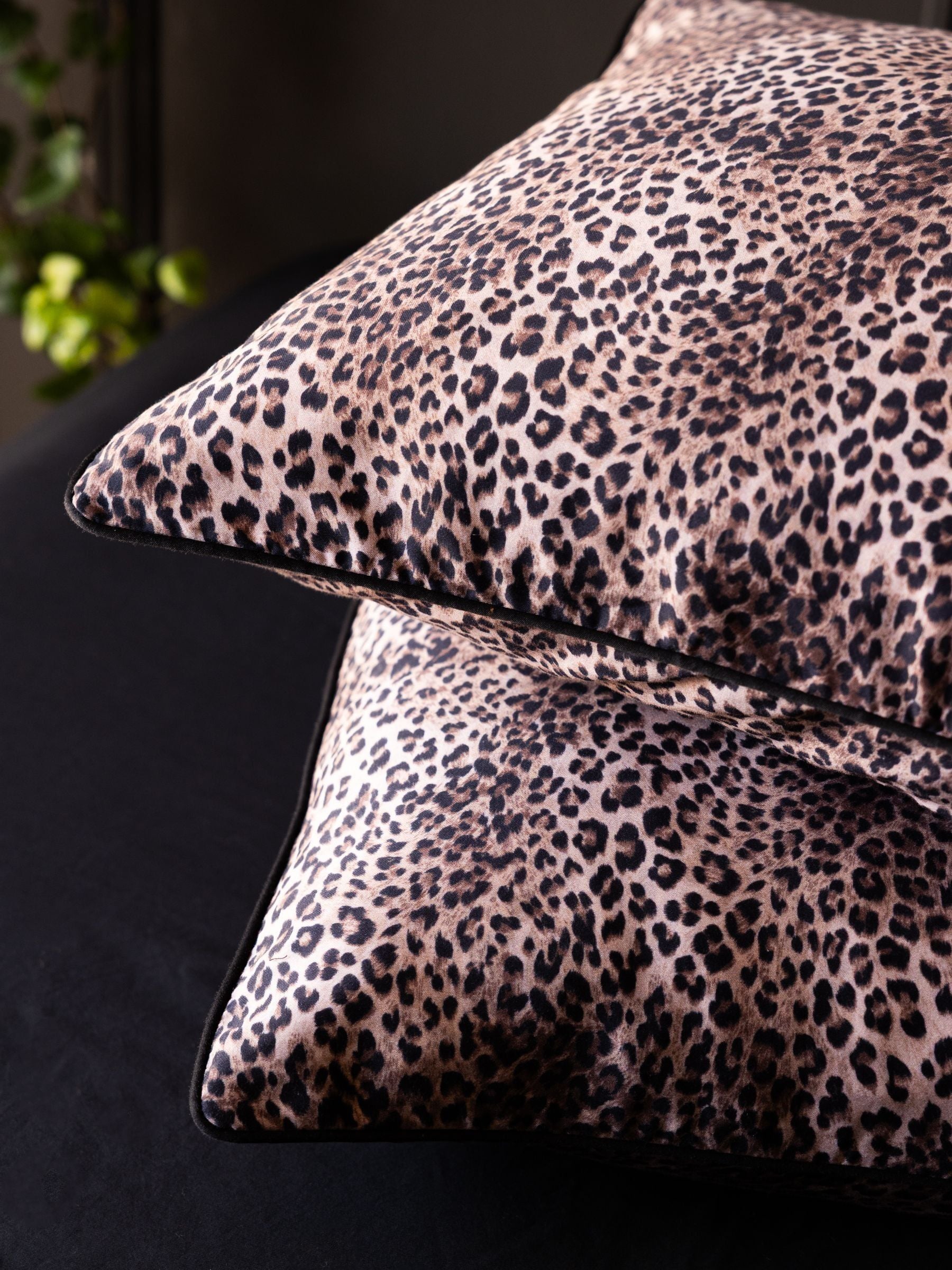 Rockett St George brown 200TC pillowcases set of 2, UK version