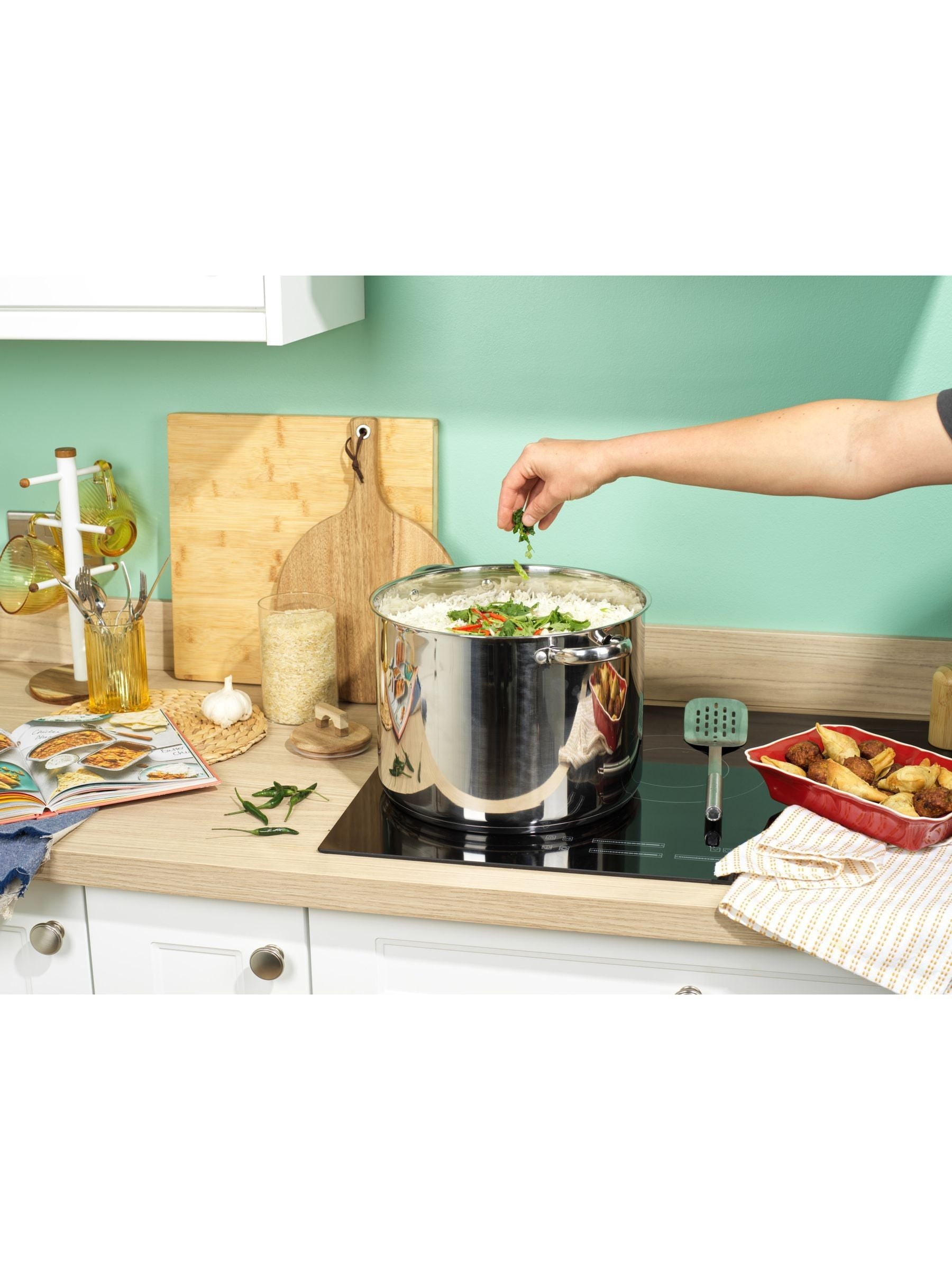 Russell Hobbs Silver Classic Collection stockpot 30cm 15l (British brand)