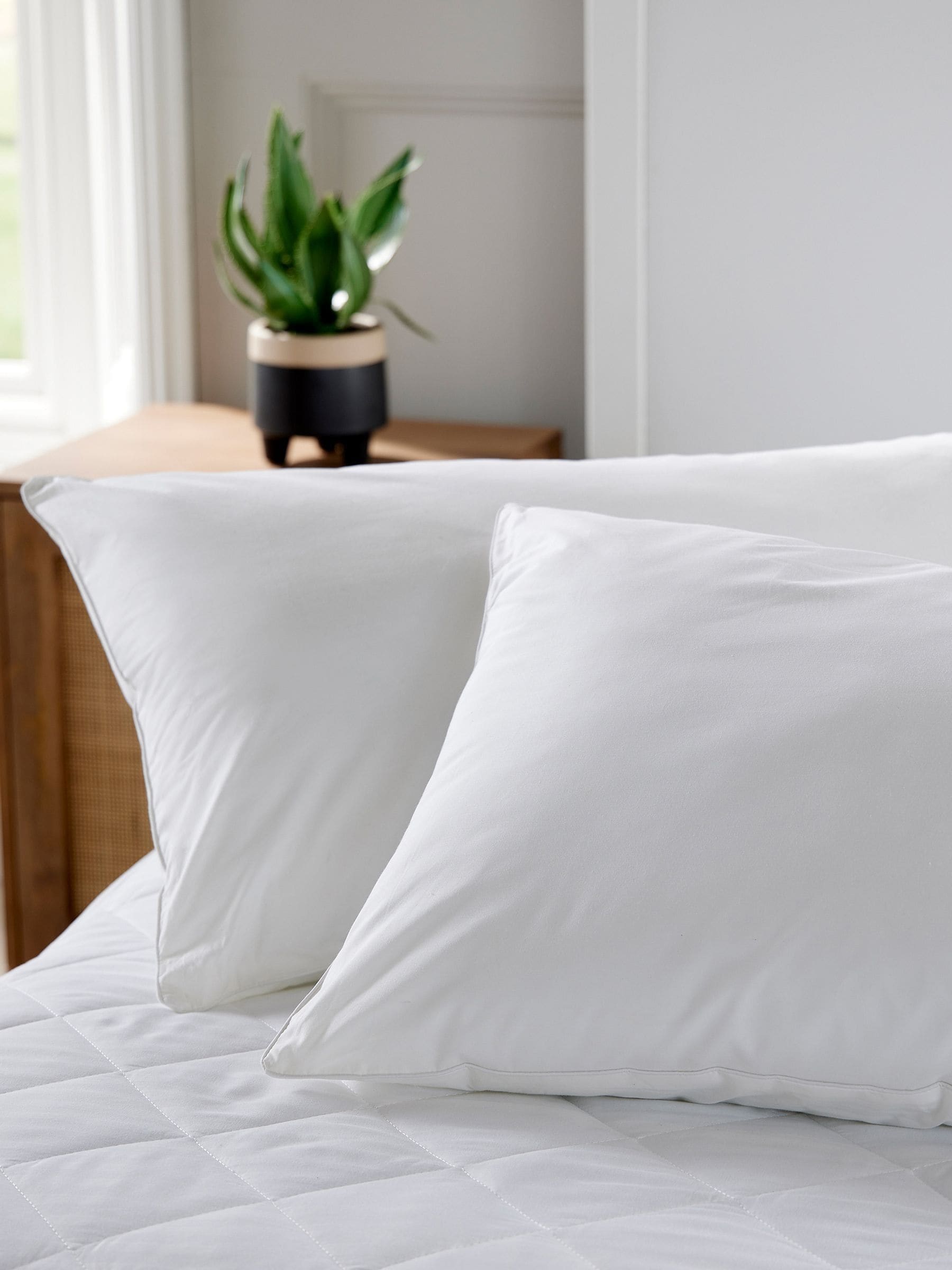 Christy classic essential medium firm pillow pair - British product