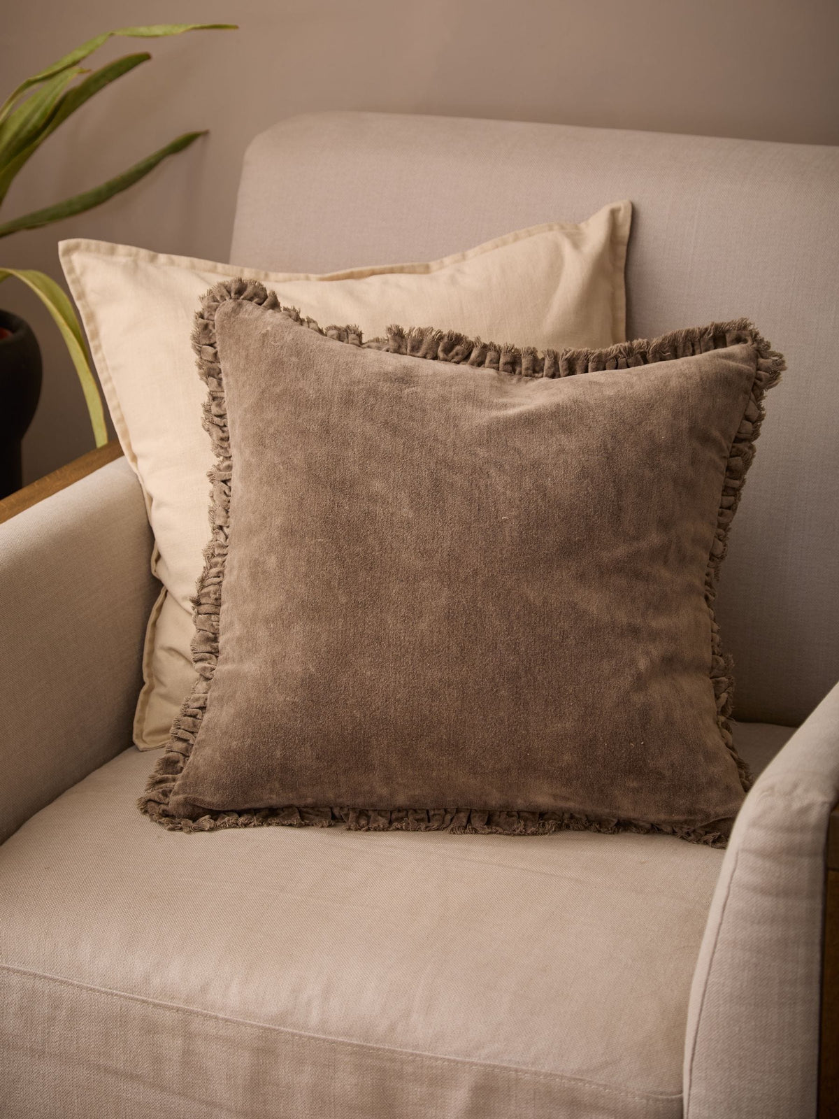 Yard Chocolate Bertie Cotton Velvet Feather Filled Cushion