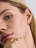 D.LOUISE gold tone oval huggie earrings, UK version