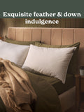 Sleepeezee feather down pillow, UK version