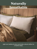 Sleepeezee feather down pillow, UK version
