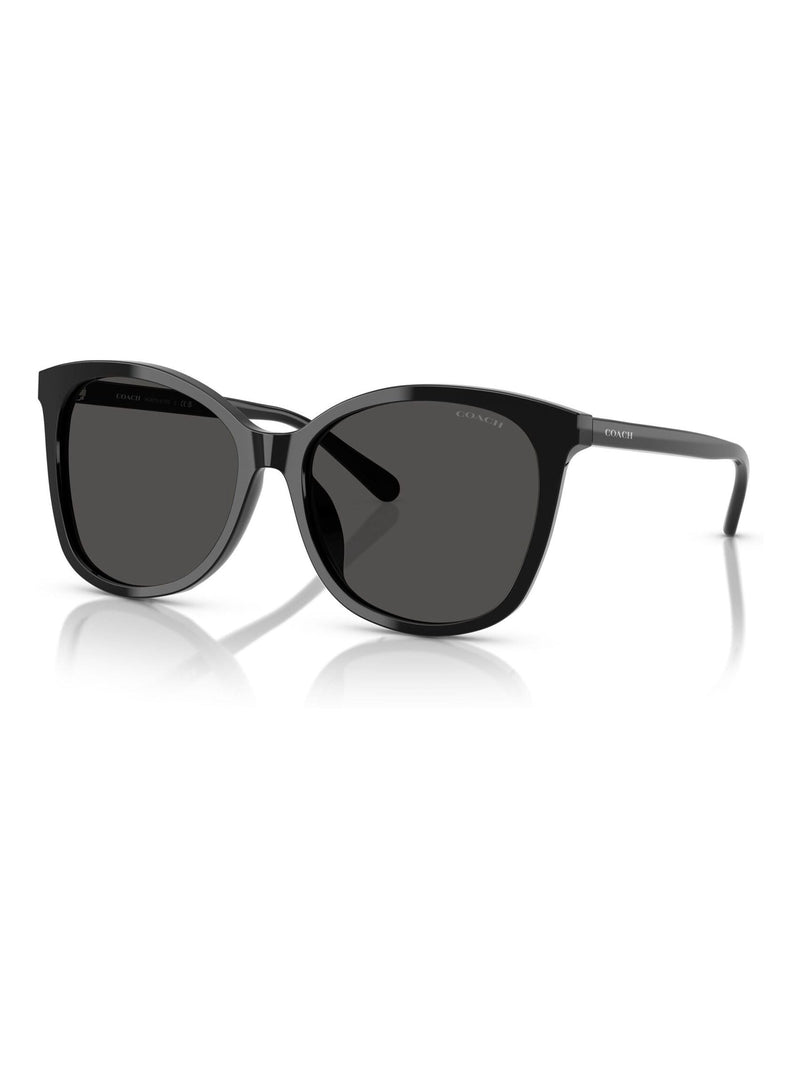 COACH black square sunglasses acetate frame - British product