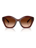 COACH brown irregular sunglasses (British brand)