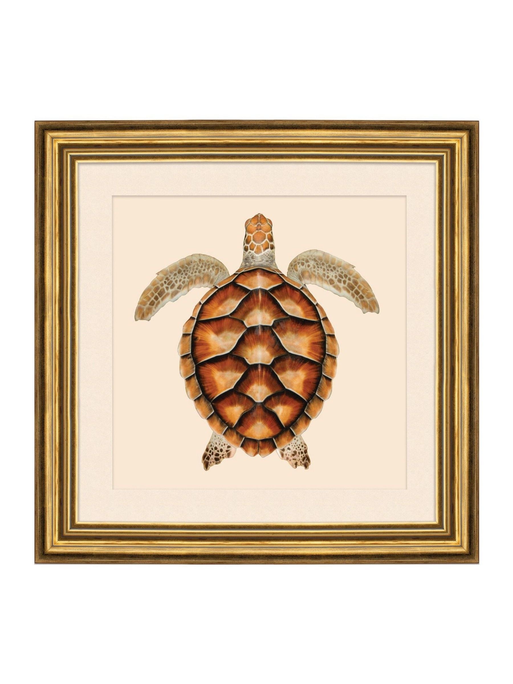 Brookpace turtle wall art 48cm gold frame - British product