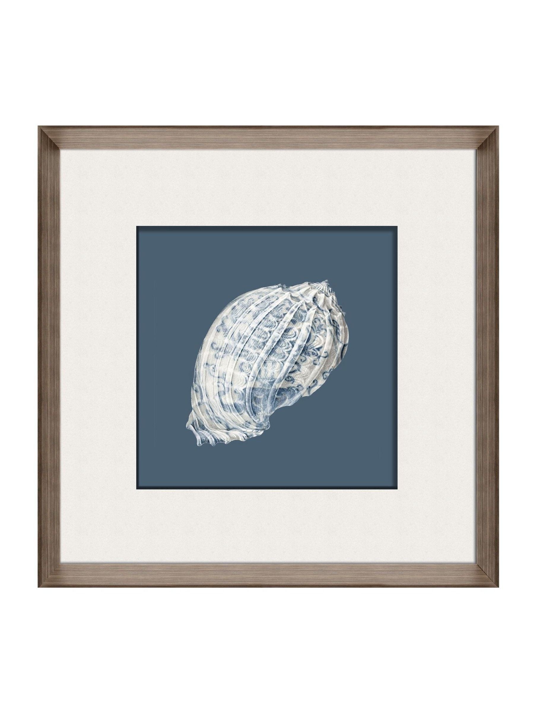 Brookpace Lascelles porcelain shell wall art in deep frame, UK version