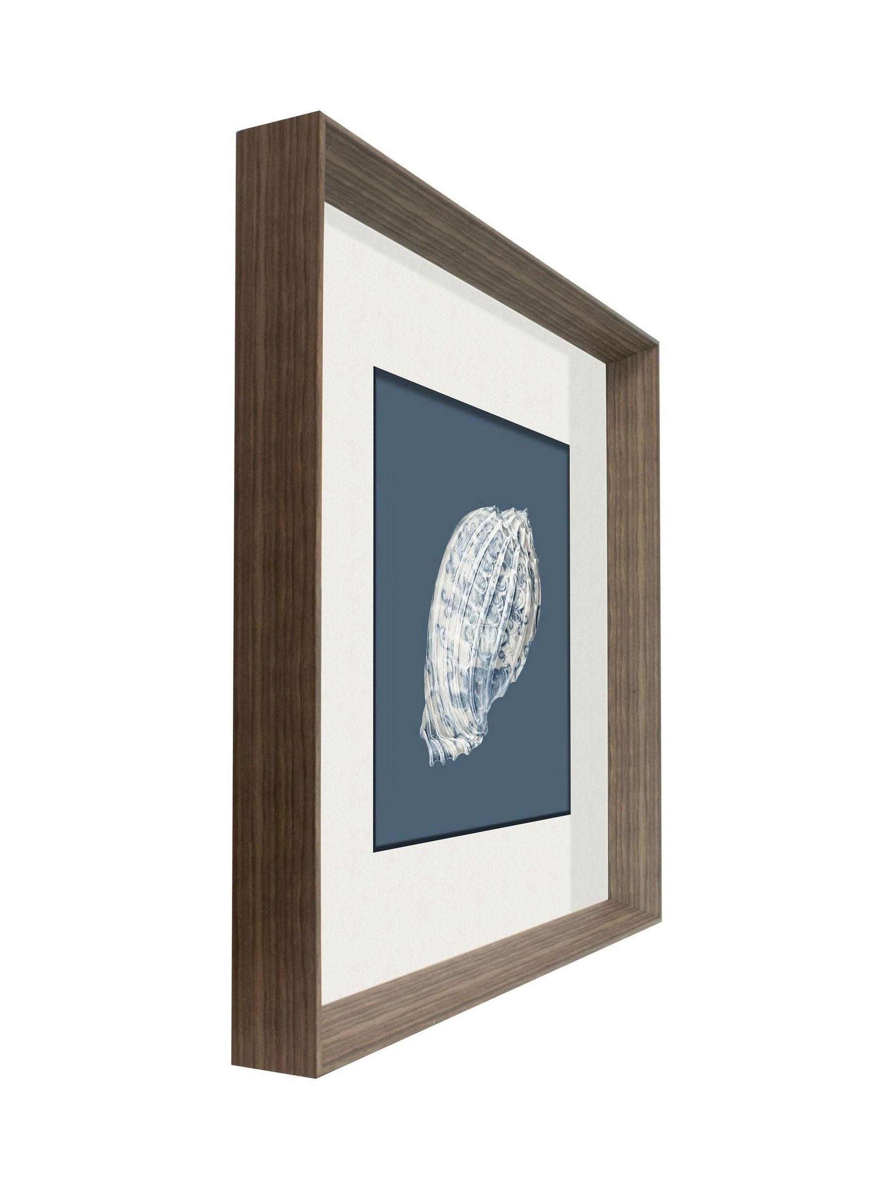 Brookpace Lascelles porcelain shell wall art in deep frame, UK version