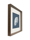 Brookpace Lascelles porcelain shell wall art in deep frame, UK version