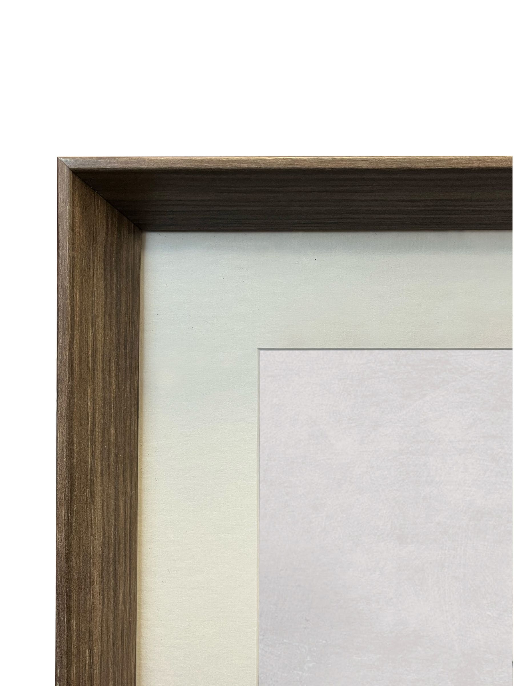 Brookpace Lascelles porcelain shell wall art in deep frame, UK version