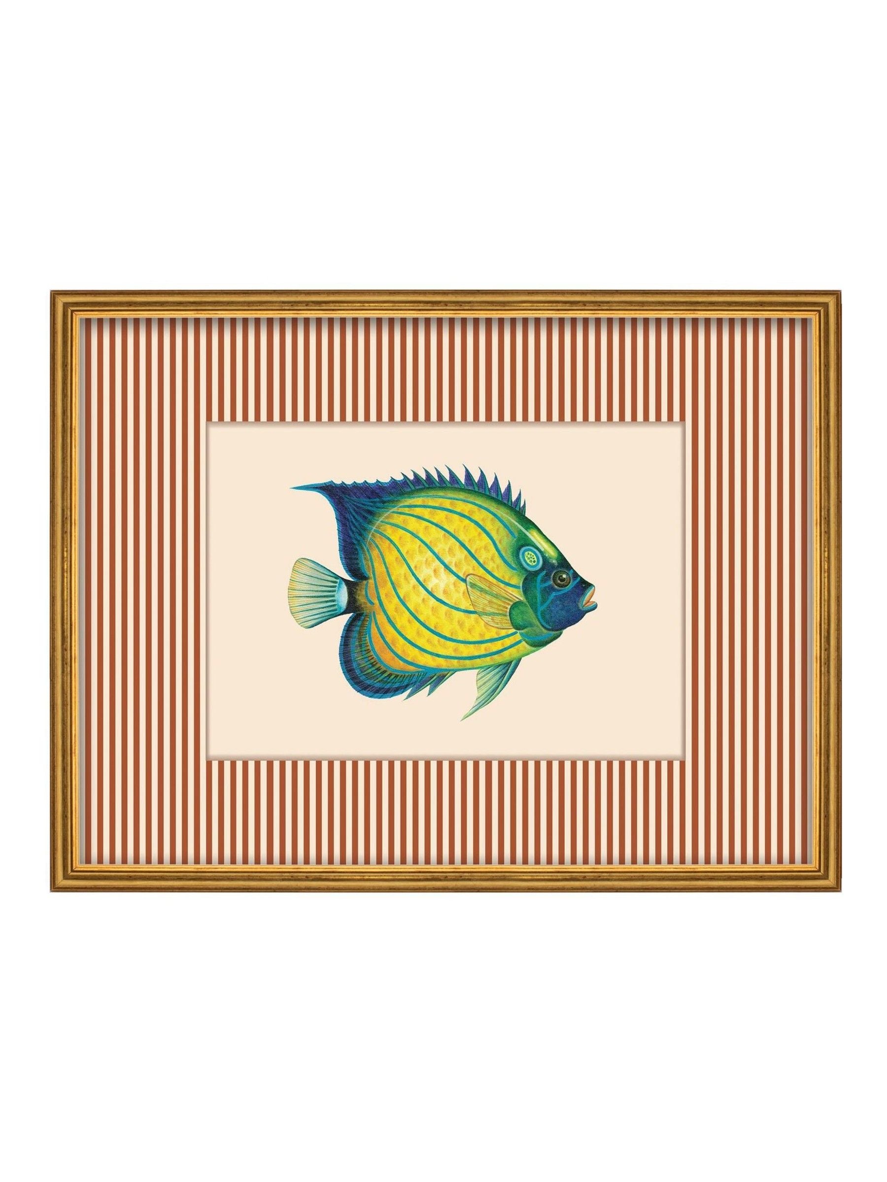 Brookpace Lascelles tropical fish wall art red striped frame 43x33cm (British brand)