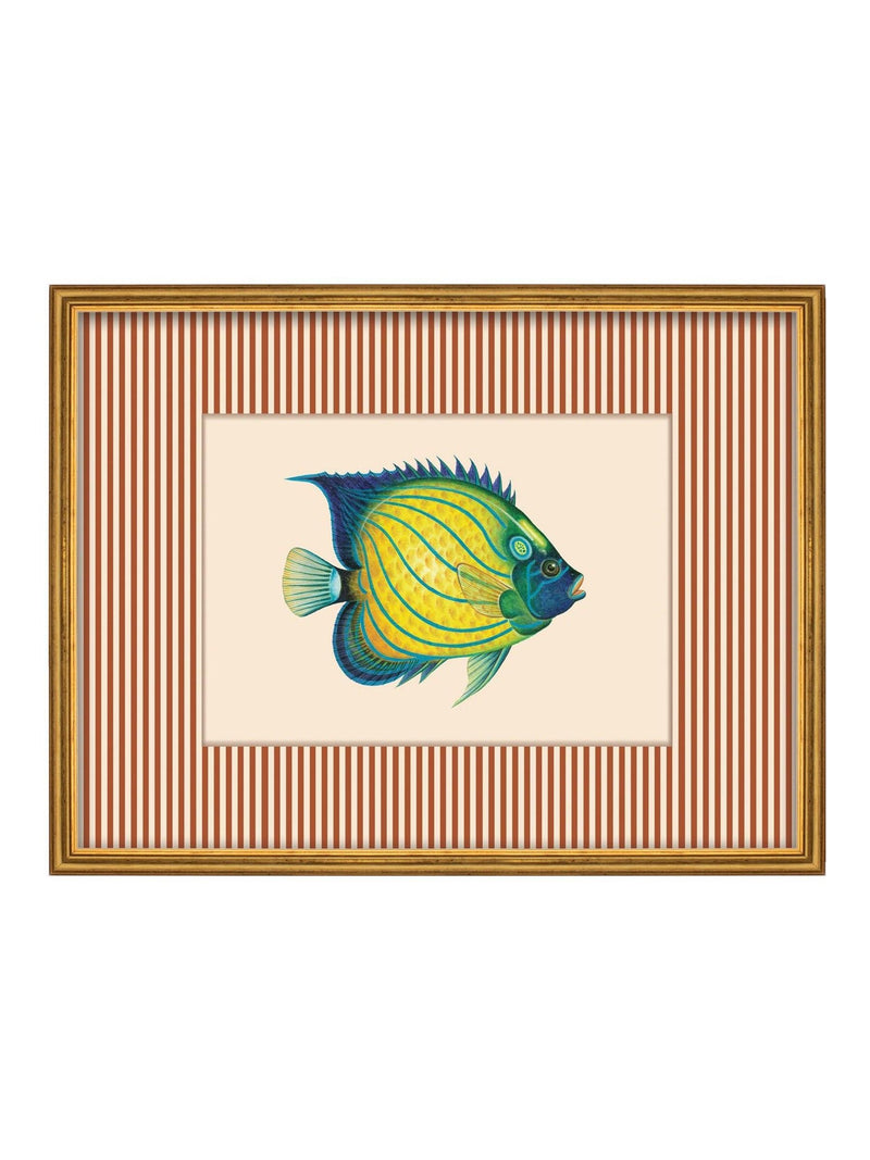 Brookpace Lascelles tropical fish wall art red striped frame 43x33cm (British brand)