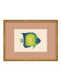 Brookpace Lascelles tropical fish wall art red striped frame 43x33cm (British brand)