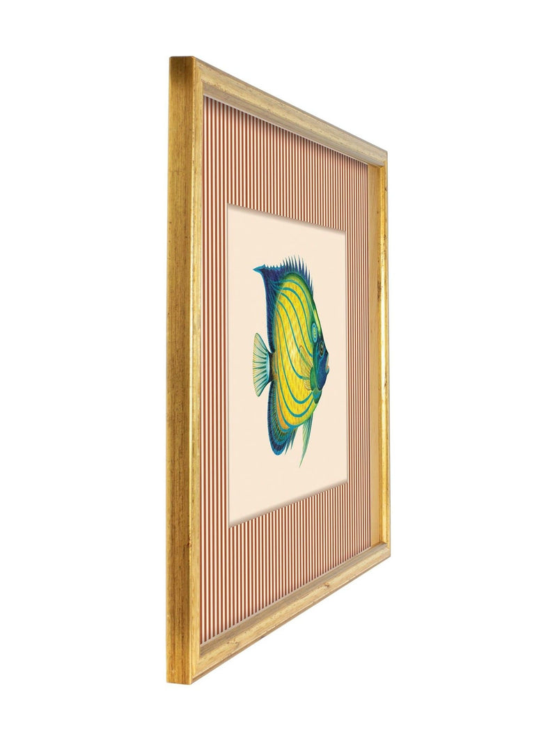 Brookpace Lascelles tropical fish wall art red striped frame 43x33cm (British brand)