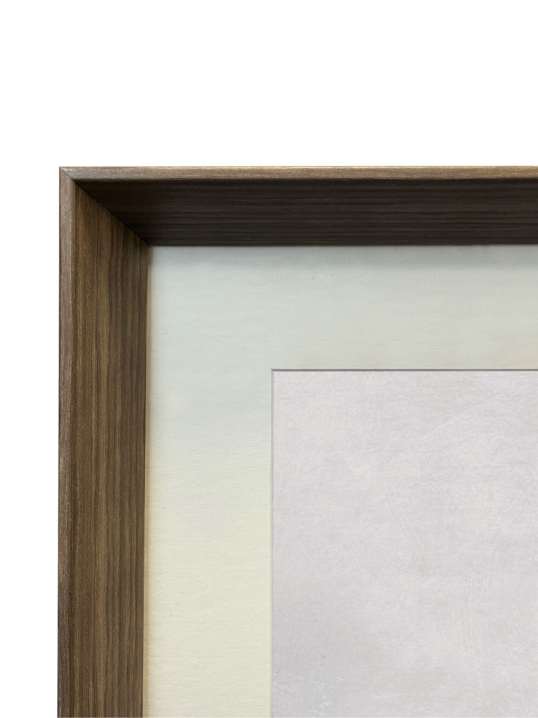 Brookpace Lascelles conch shell print frame 56cm, British product