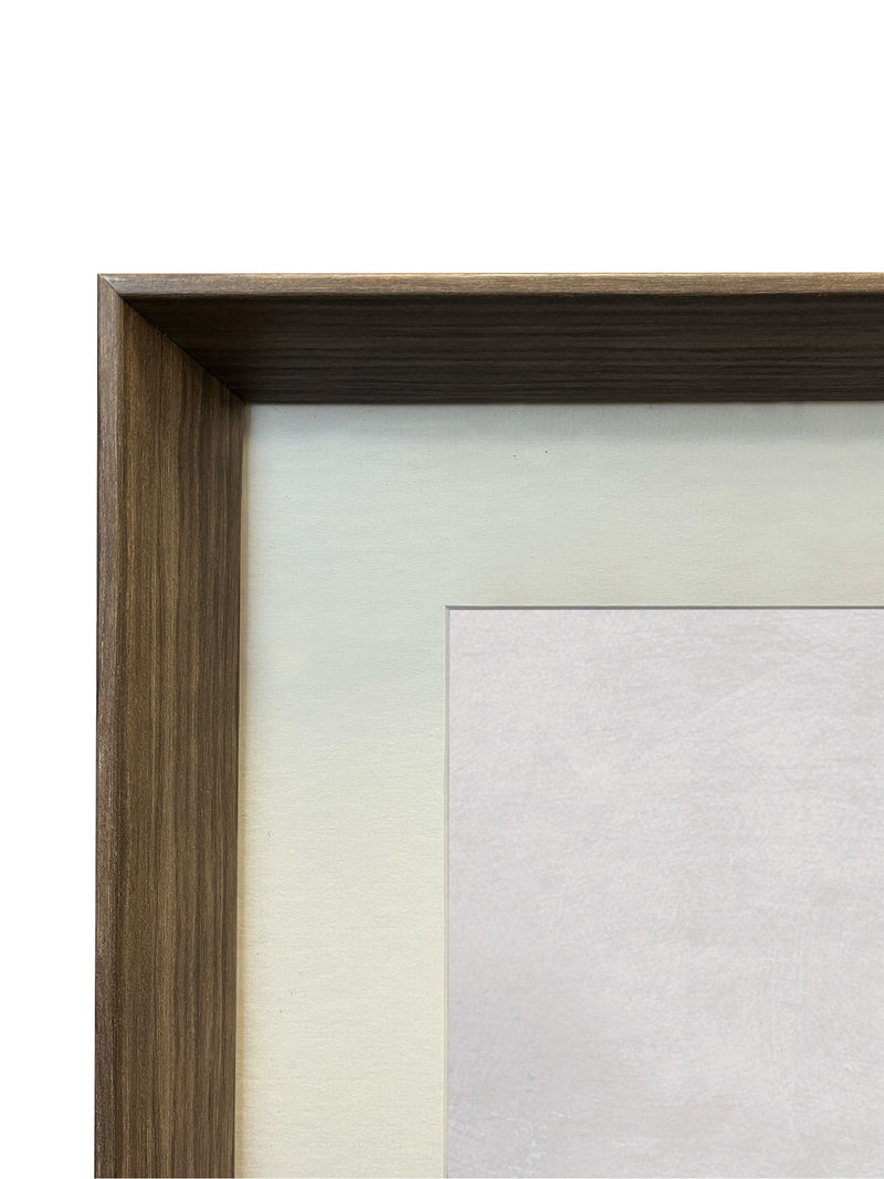 Brookpace Lascelles conch shell print frame 56cm, British product