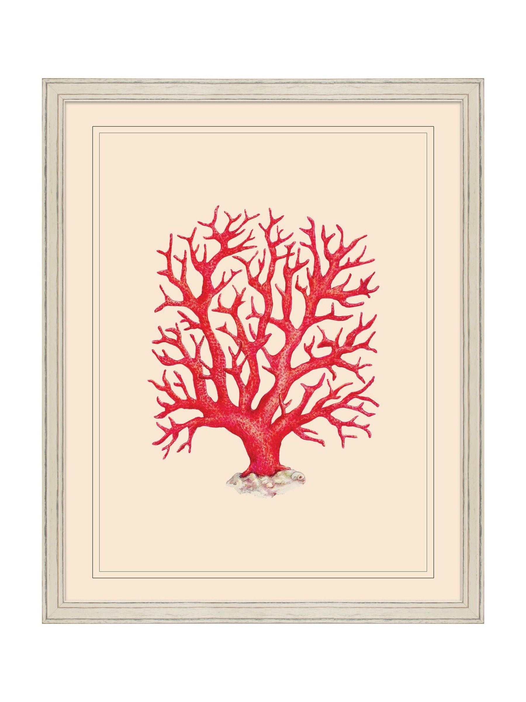 Brookpace Lascelles Coral wall art 55.5x45.5cm - British product