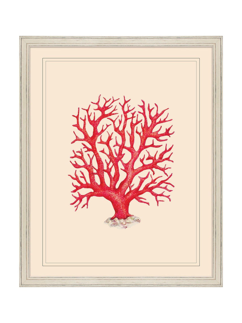 Brookpace Lascelles Coral wall art 55.5x45.5cm - British product