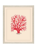 Brookpace Lascelles Coral wall art 55.5x45.5cm - British product