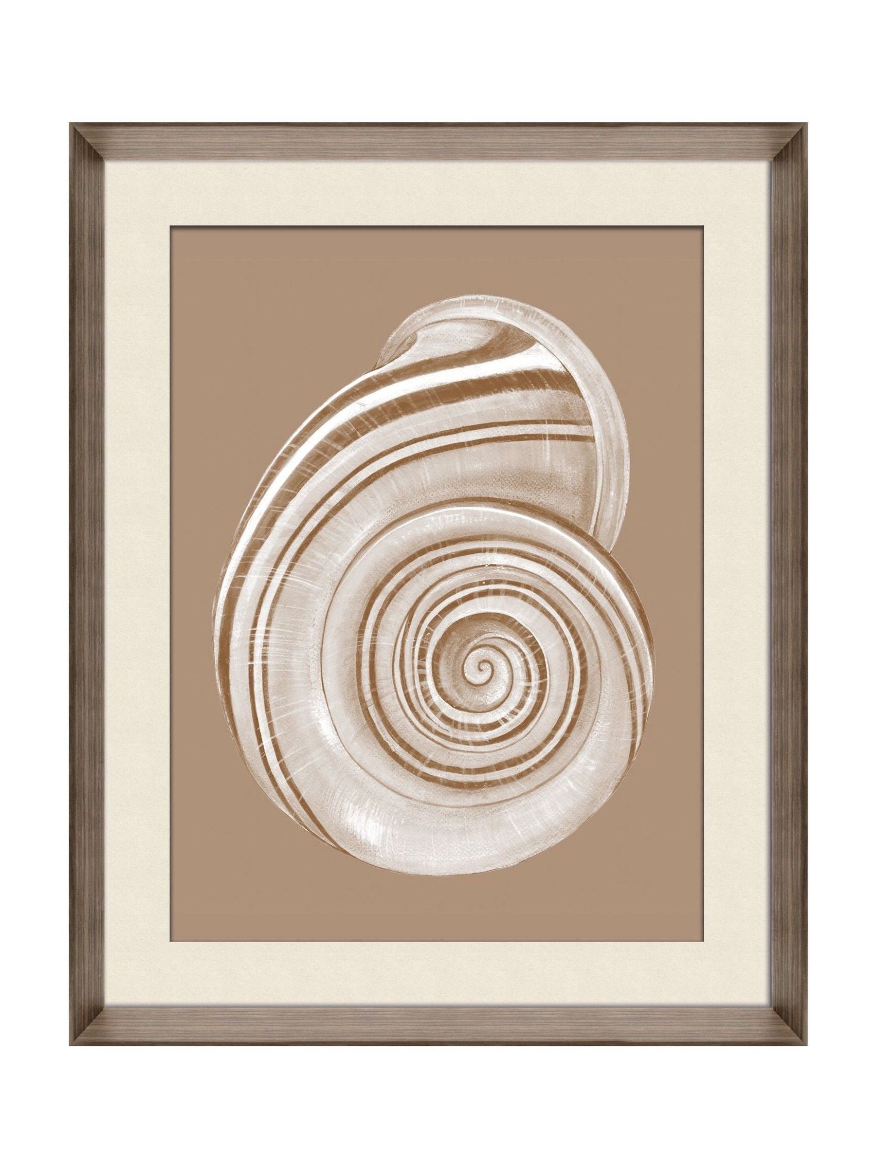 Brookpace Lascelles shell wall art cream brown 56x46cm - British product