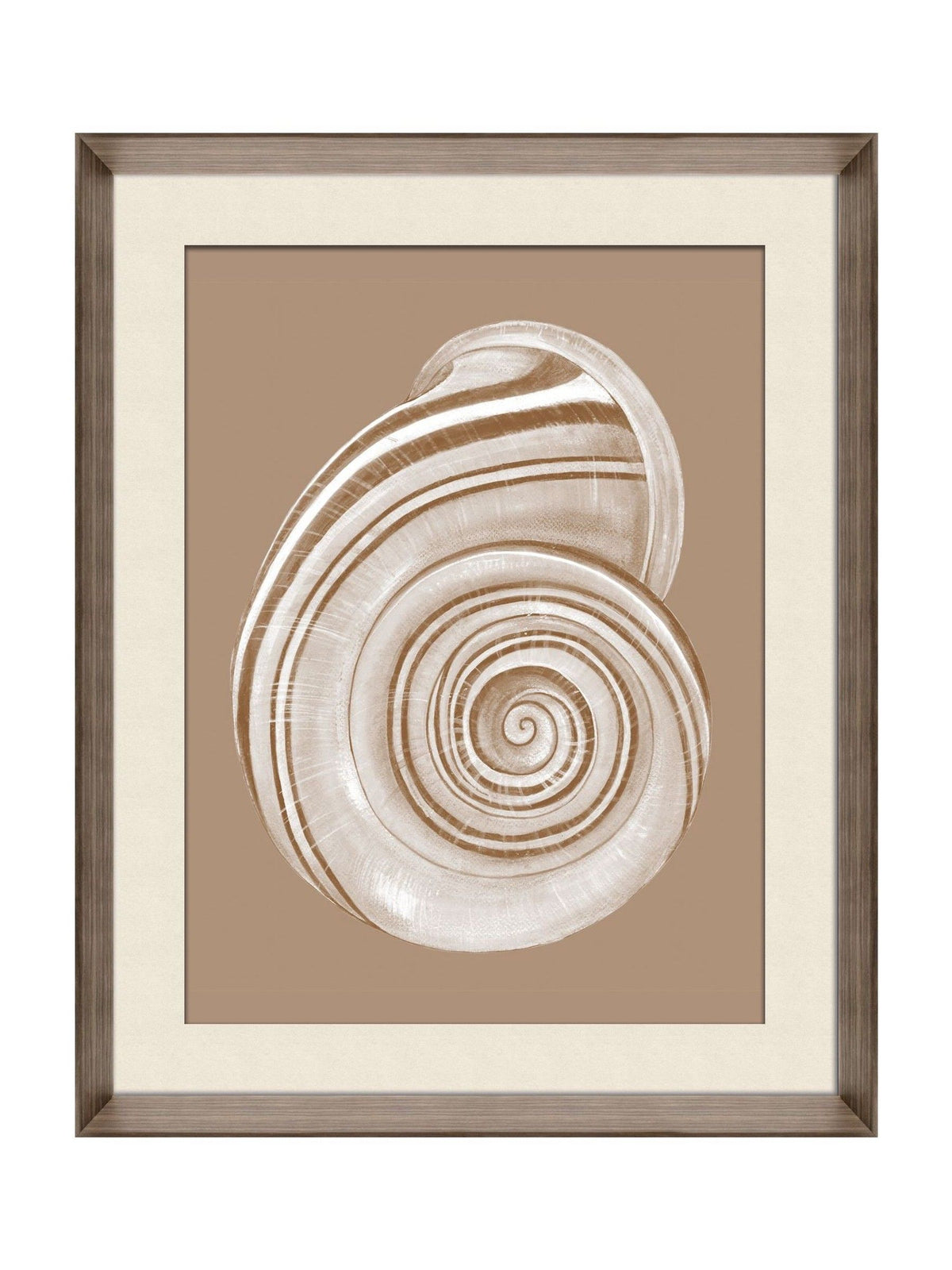 Brookpace Lascelles shell wall art cream brown 56x46cm - British product