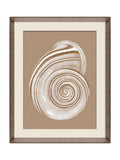 Brookpace Lascelles shell wall art cream brown 56x46cm - British product