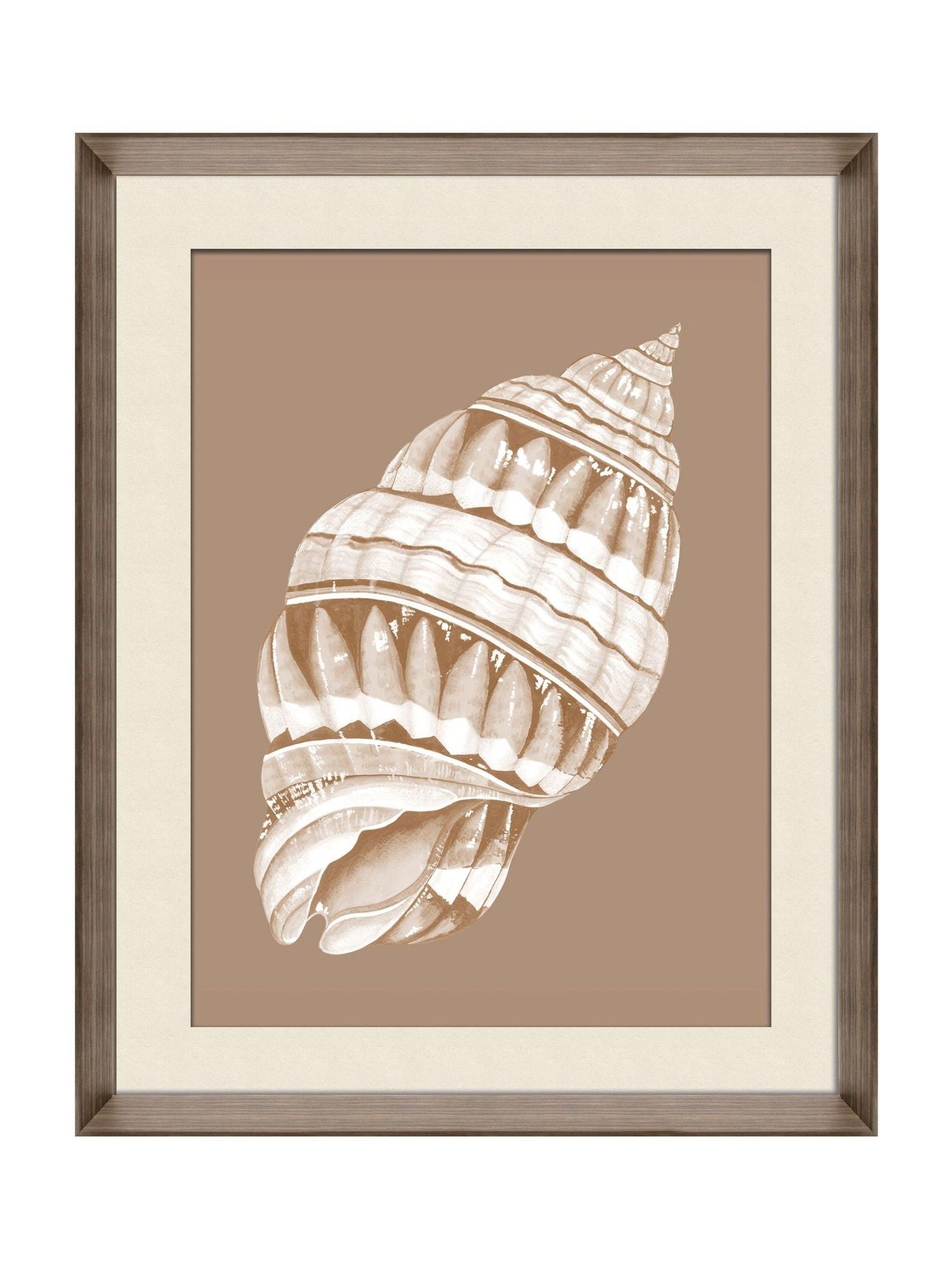 Brookpace Lascelles Shell VI wall art deep frame, UK version