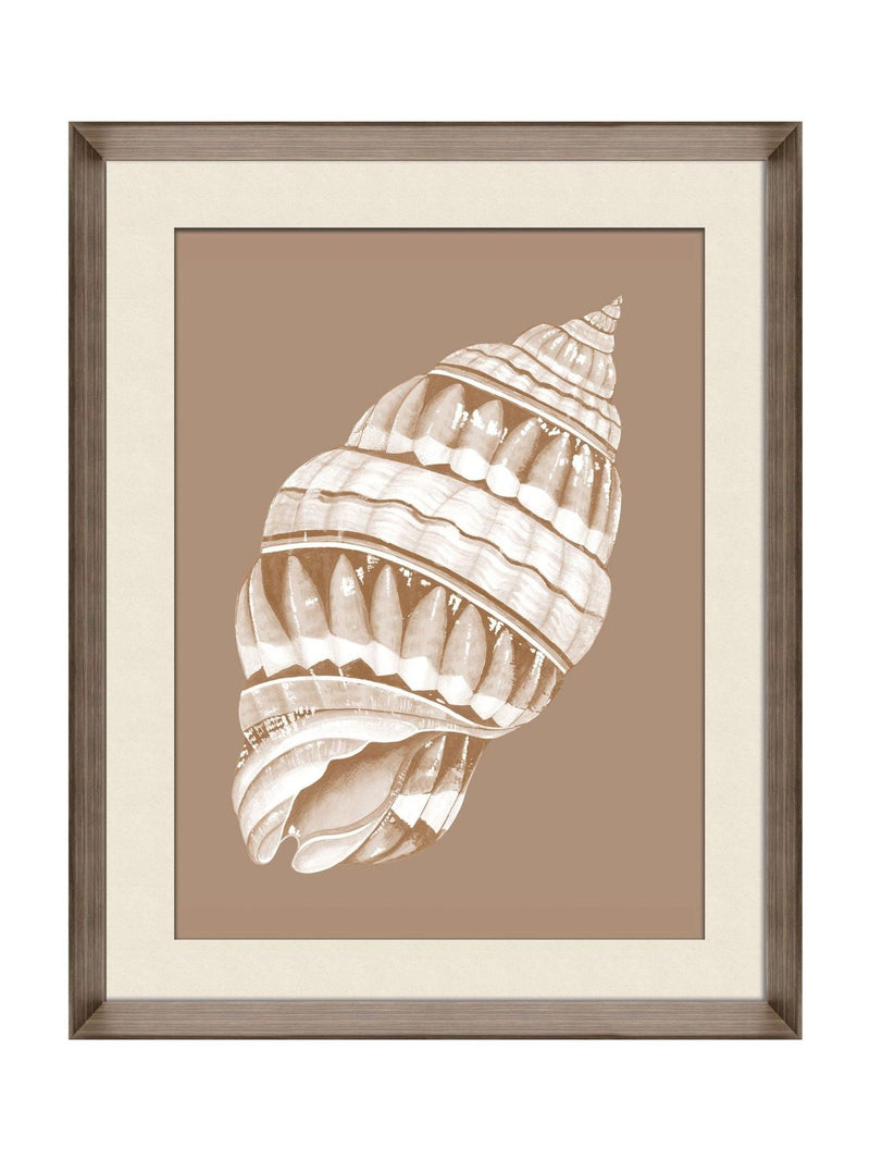 Brookpace Lascelles Shell VI wall art deep frame, UK version