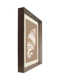 Brookpace Lascelles Shell VI wall art deep frame, UK version