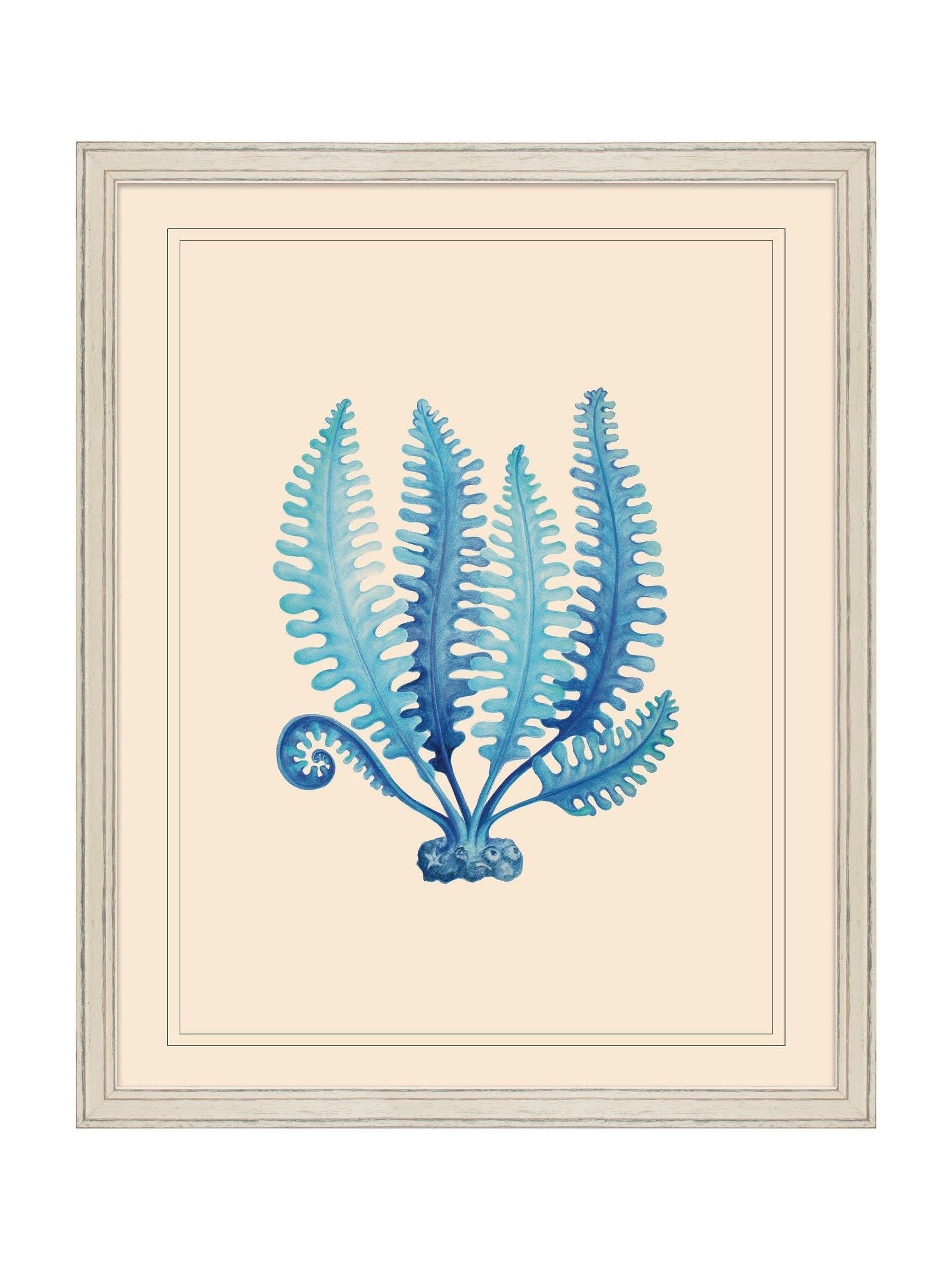 Brookpace Lascelles blue seaweed framed wall art - British product