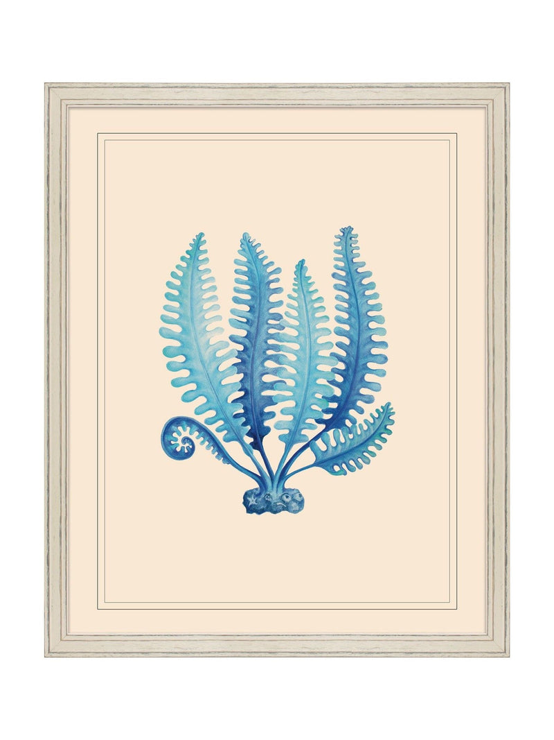 Brookpace Lascelles blue seaweed framed wall art - British product