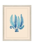 Brookpace Lascelles blue seaweed framed wall art - British product