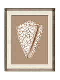 Brookpace Lascelles Shell IV wall art beige and brown (British brand)