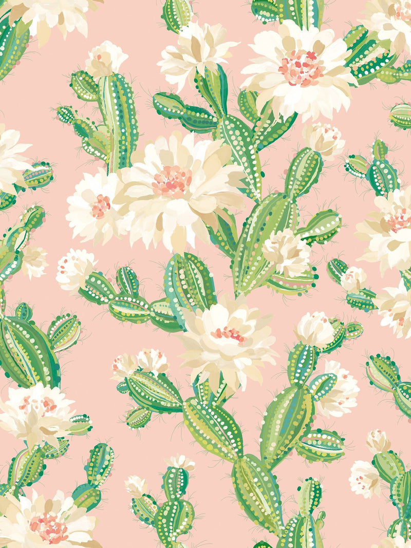 Ohpopsi Sunshine Cactus Bloom Wallpaper A4 Sample