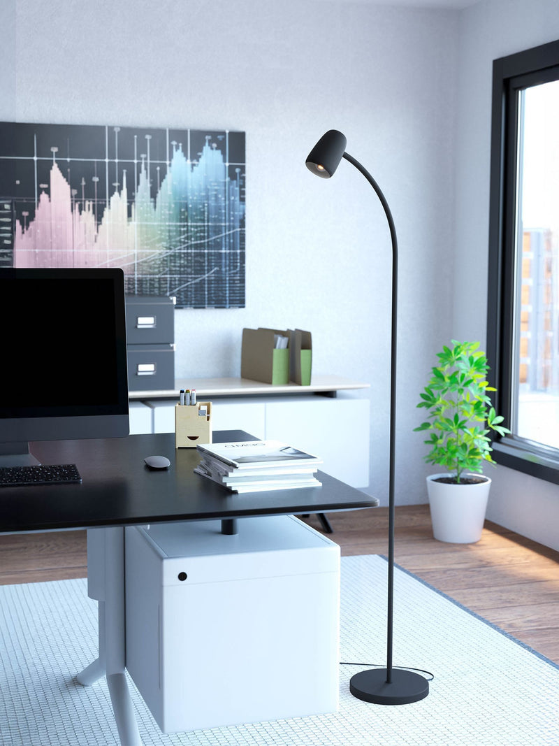 Eglo Black Carlo steel floor lamp, UK version